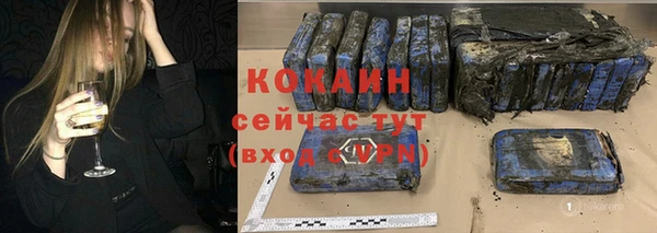 шишки Алзамай