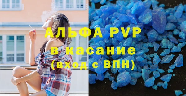 шишки Алексин