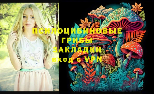 шишки Алзамай