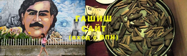 шишки Алзамай