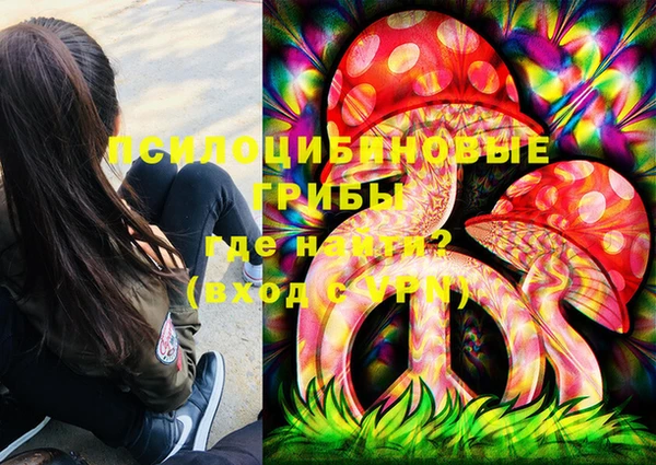 шишки Алексин