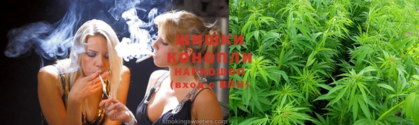 шишки Алзамай