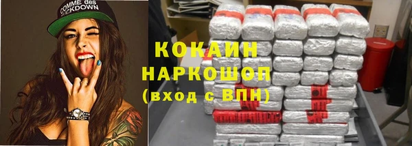 шишки Алексин