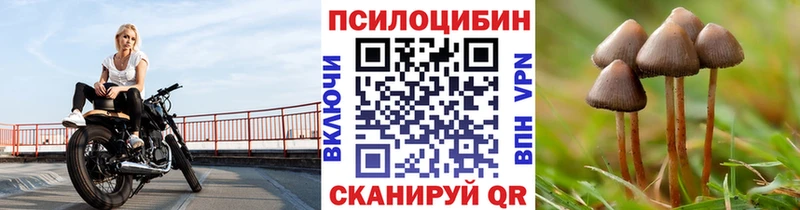 Псилоцибиновые грибы мицелий  Краснослободск 